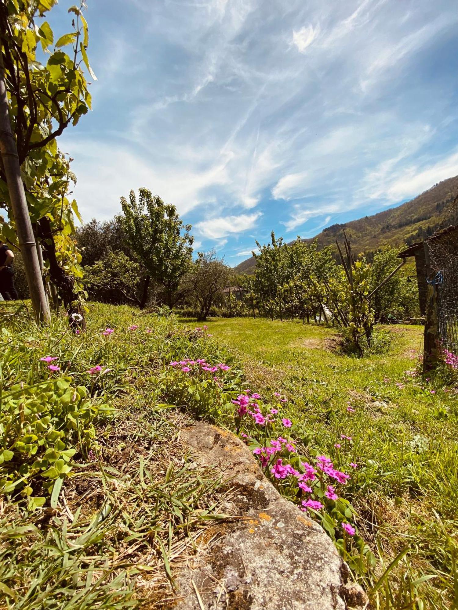 La Vista Dal Civico 26 Villa Bagni di Lucca Eksteriør bilde